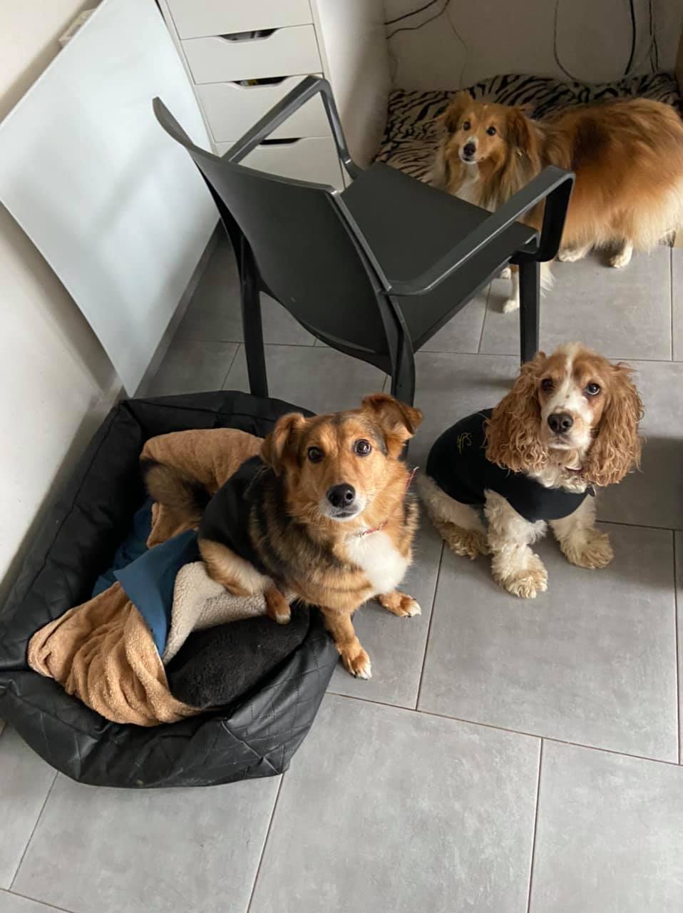 YARA JODIE MOLLY 