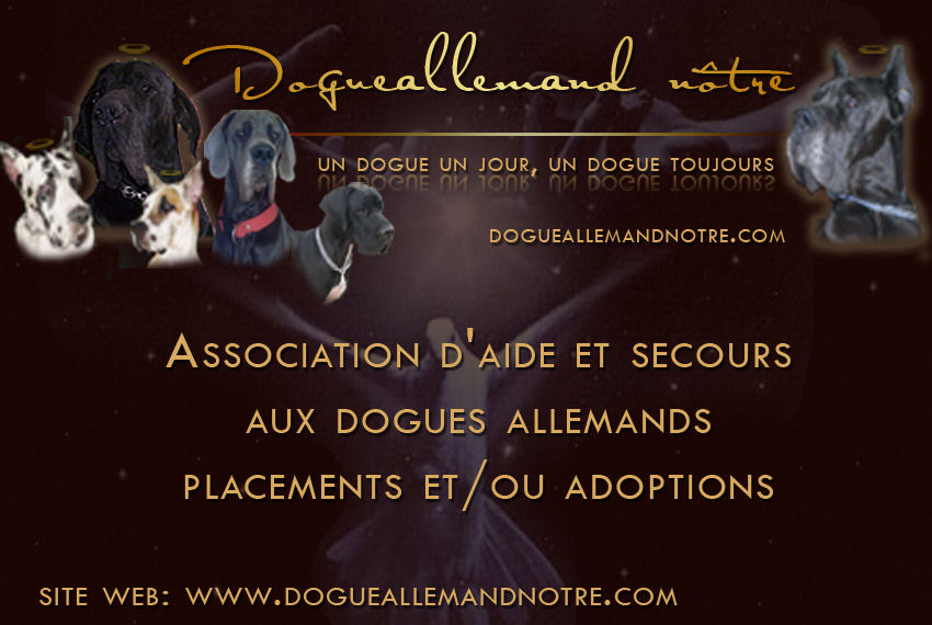 Association Dogue Allemand Notre