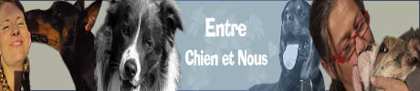 Entre chien et nous