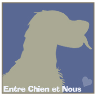 Boutique Panier pour chiens