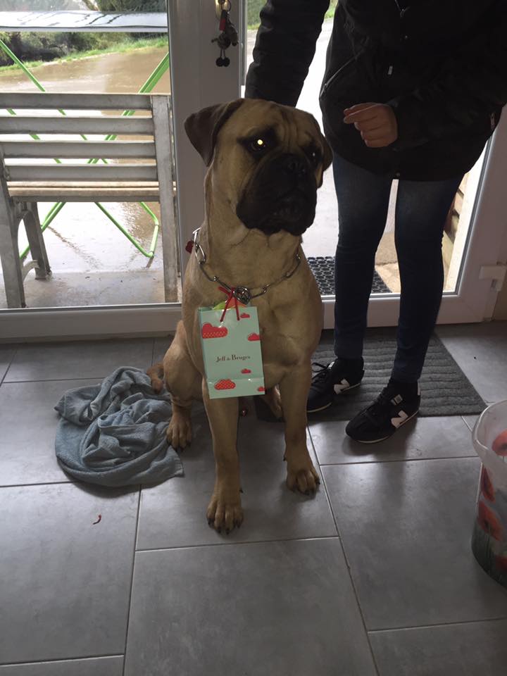 Barry nous à ramener un petit lapin de pâques 