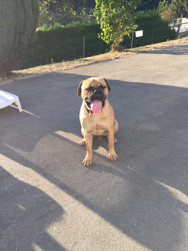 BARRY