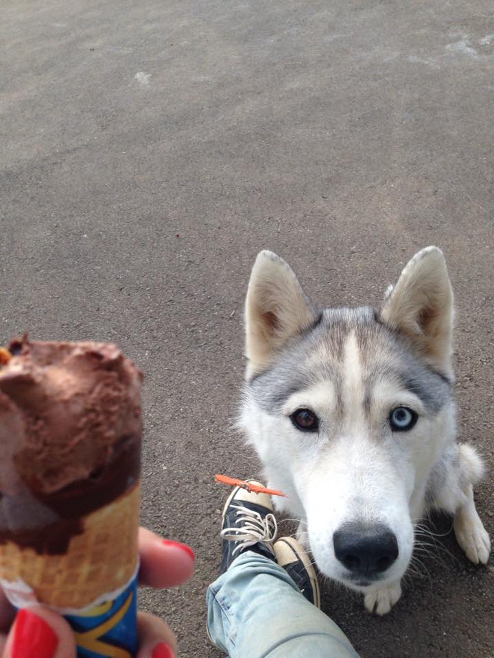 Eclipse veut la glace