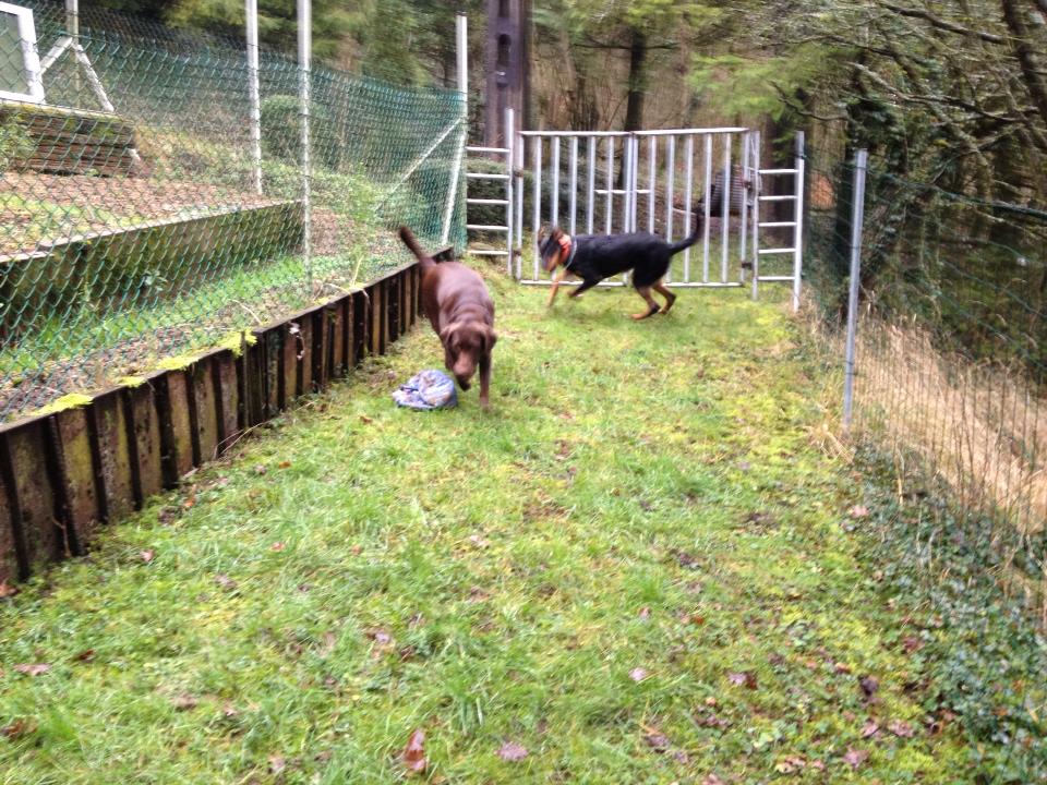 Tao et Iris au parc