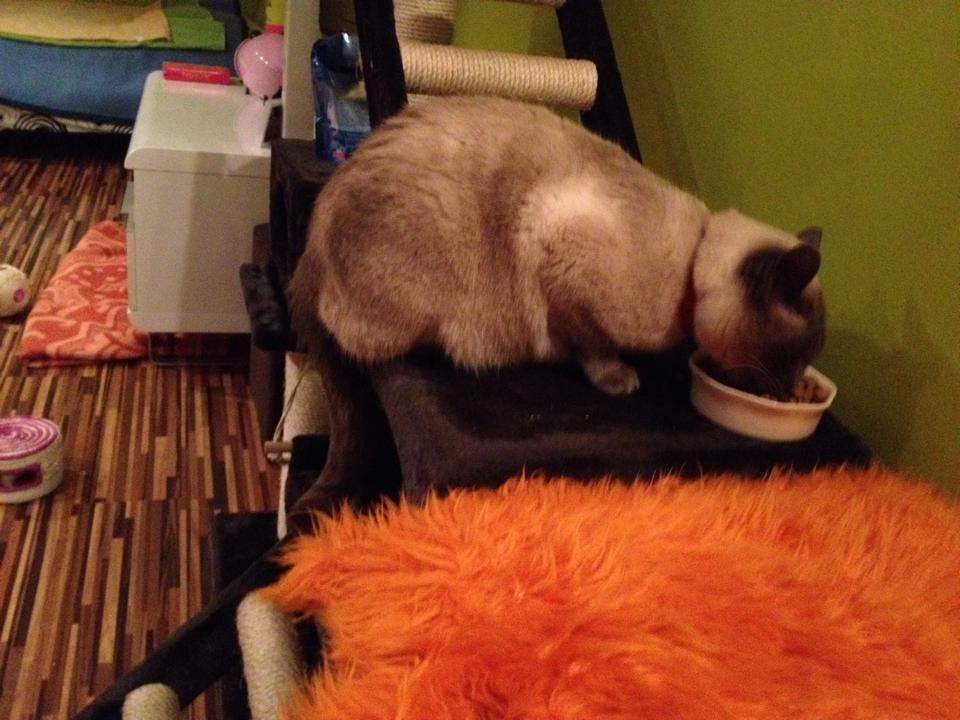 Mila en service à domicile