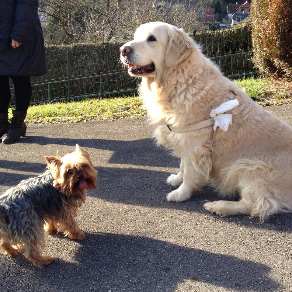 Louna et azure