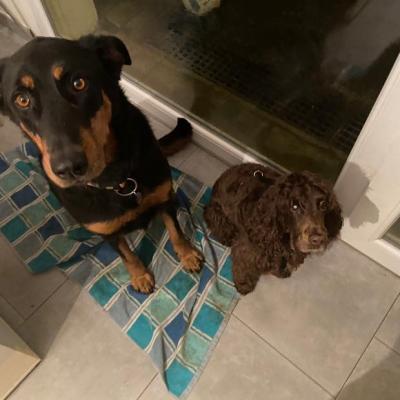 IRIS ET LOLA 