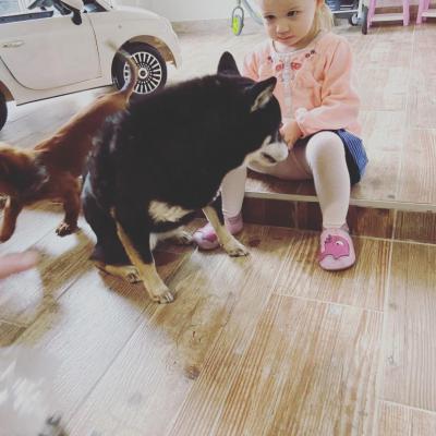 JUNE COOKIE ET MIA