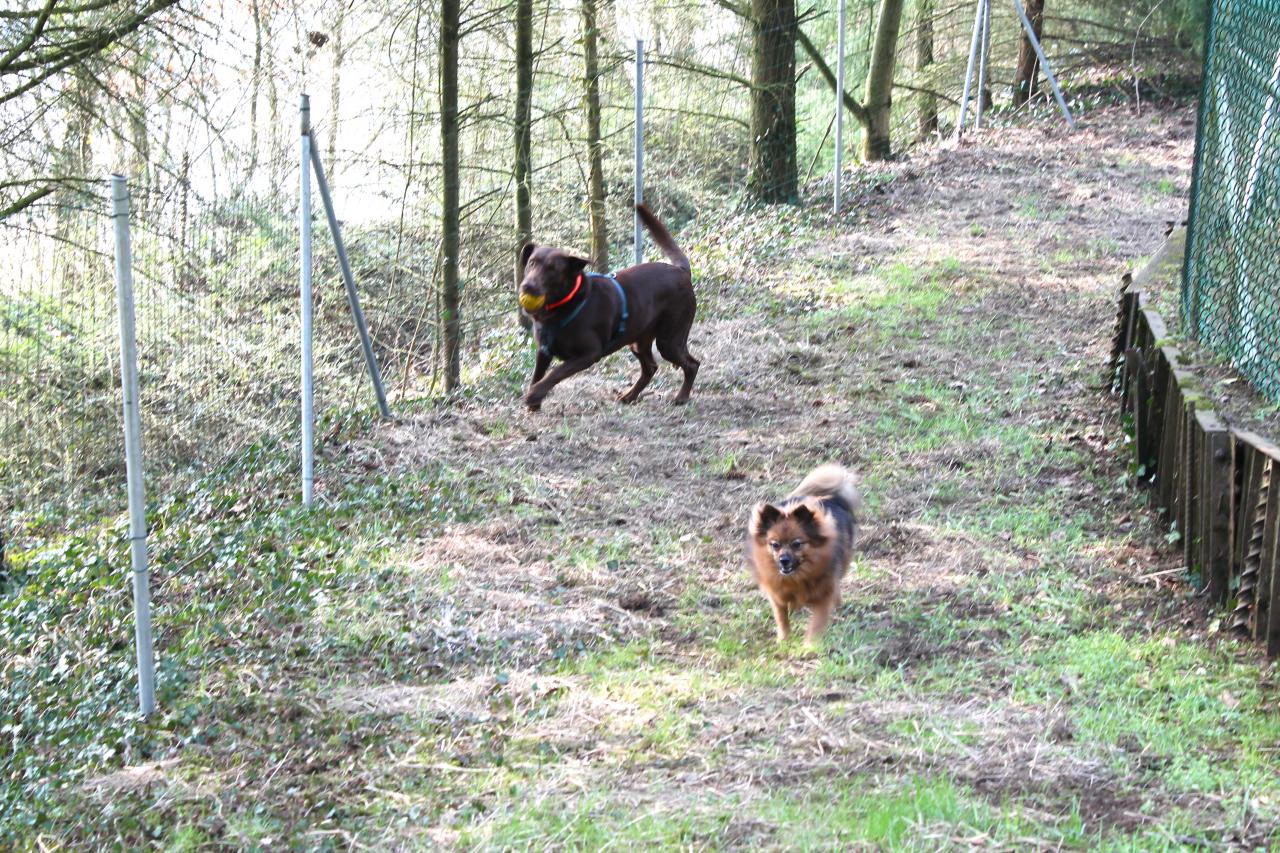 Tao et Peaches au parc de jeux