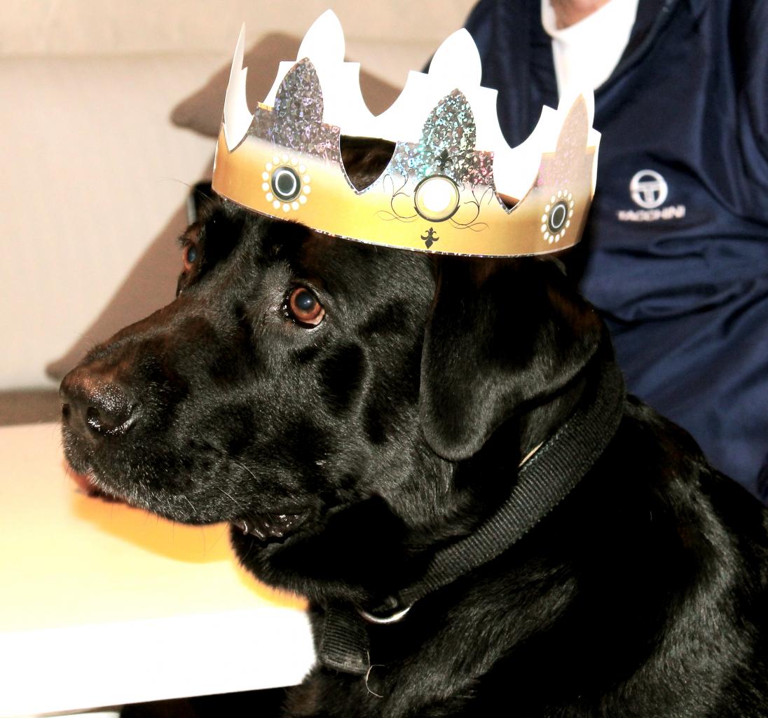 Black le rois des pacha pour la galette des rois