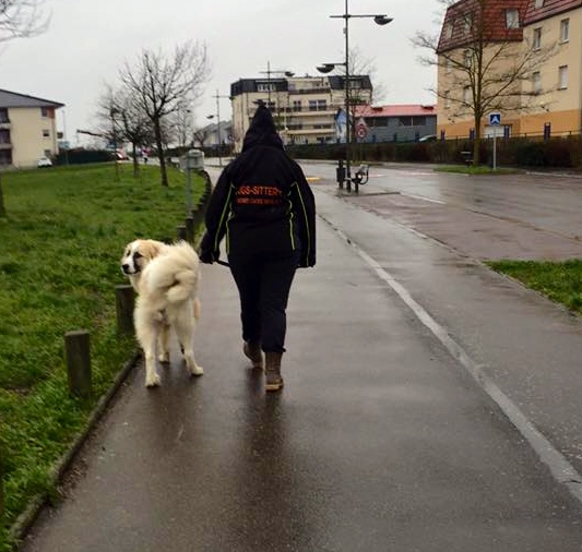 Promenade avec Loyd